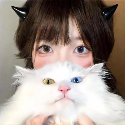 魔兽之副本人生