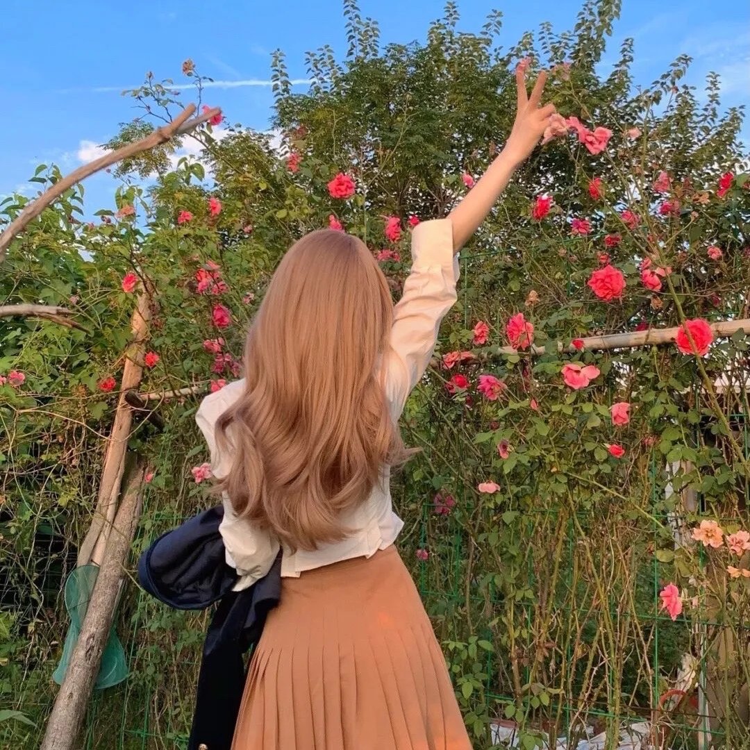 大秦帝国之纵横